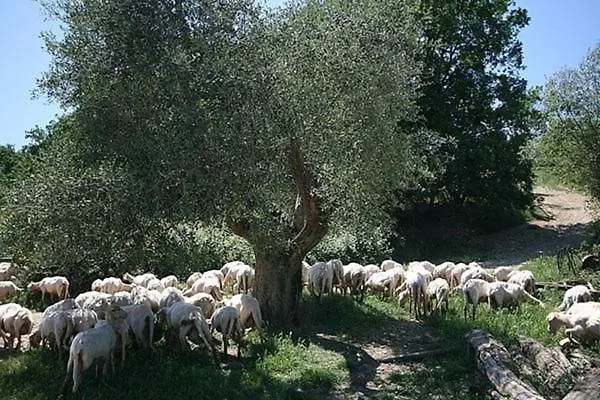 Casa Fallocchio San Casciano in Val di Pesa
